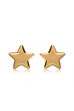 Ohrstecker im Stern-Design aus 375er Gold