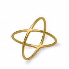 Filigraner X-Ring